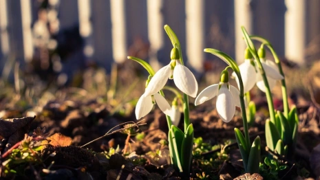 Майское тепло придет во Владимирскую область в выходные