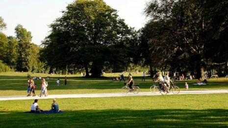 В микрорайоне Владимира разобьют парк и благоустроят сквер