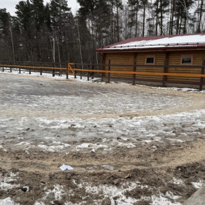 Двое детей получили травмы при падении с лошади в Петушинском районе