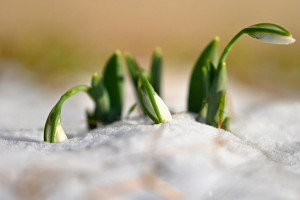 Прогноз погоды на 20 марта 2024 года во Владимире и области