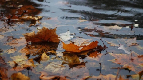 Рабочая неделя во Владимирской области начнется с холодов 
