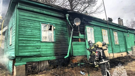 Жительница Владимира лишилась жилья из-за возгорания сухой травы