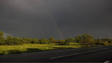 Во Владимирской области отремонтируют 2,5 км туристических дорог