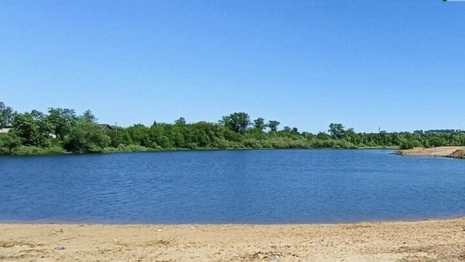 Разрешенный для купания пляж в Коврове закроют из-за борьбы с клещами