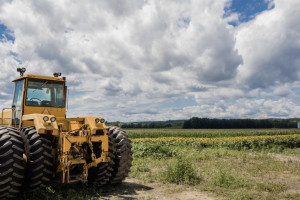 Жителя Юрьев-Польского будут судить за пьяную езду на тракторе