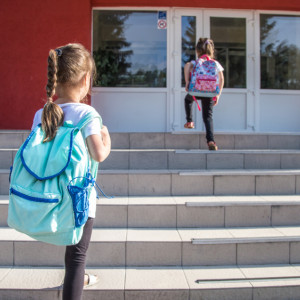 Во Владимирской области за два года отремонтируют 48 школ