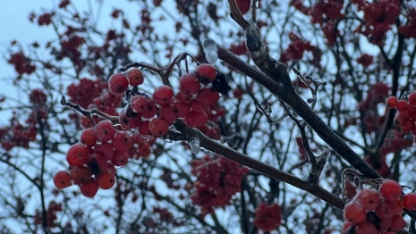 Во Владимирскую область вернутся ночные морозы