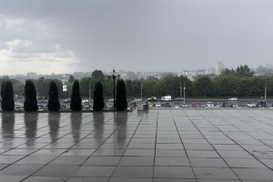 По Владимиру прошел грибной дождь