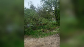 Жители Владимира пожаловались на состояние остановки на Балакирева