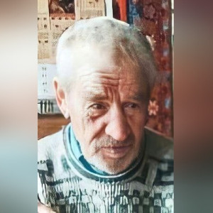 Во Владимирской области пропал в лесу 83-летний дедушка 