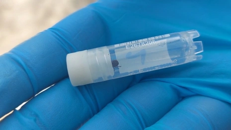 Владимирцам напомнили о важности вакцинироваться от энцефалита