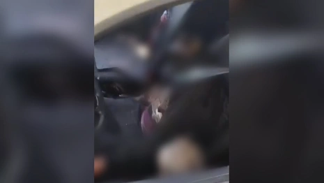 В машине с владимирскими номерами нашли человека без головы