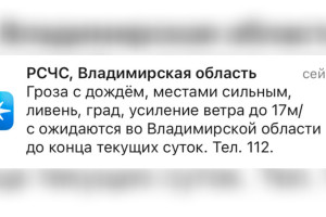МЧС предупредило жителей Владимирской области о грозе и граде 13 августа