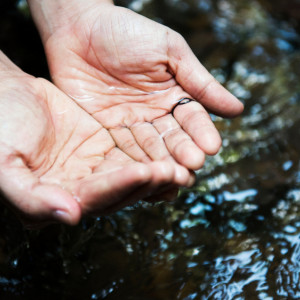 Во Владимирской области начали благоустройство 3 родников