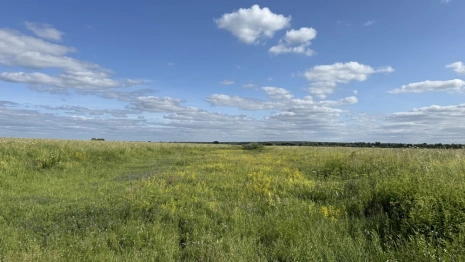 Прогноз погоды во Владимирской области на 23 июня 2025 года