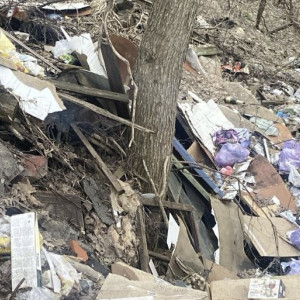 Прокуратура потребовала убрать 5 стихийных свалок в Муроме