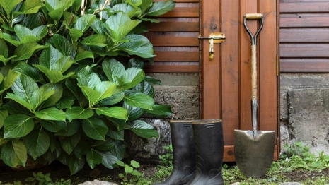 Председатель СНТ из Петушков получил реальный срок за присвоение 2 млн рублей