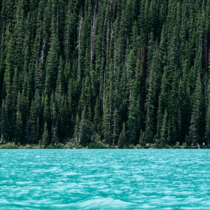 Во Владимирской области попробуют привлечь инвесторов в нацпарк и заказники