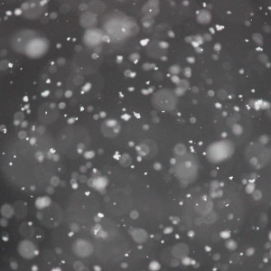 Трассу М-12 «Восток» во Владимирской области завалит мокрым снегом