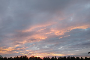 Прогноз погоды во Владимирской области на 2 ноября 2024 года