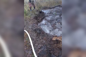 В деревне под Киржачом мог загореться торфяник