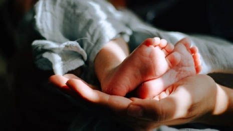 Медики назвали количество рожденных по ЭКО детей во Владимирской области