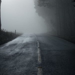 Пропавшую в Александрове женщину спустя 7 месяцев нашли мертвой