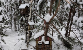 В парке «Сказка» в Гусь-Хрустальном построили деревню «Птичкино»
