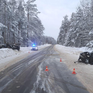 Во Владимирской области легковушка влетела в грузовик