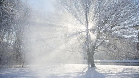 Прогноз погоды во Владимирской области на 23 февраля