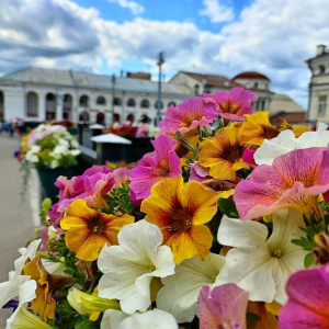 Прогноз погоды во Владимирской области на 27 июля