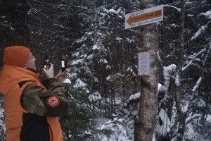 В лесах Владимирской области появятся стрелки-указатели для потеряшек
