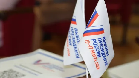 Во Владимирской области начнутся подомовые обходы перед выборами