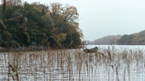 Весенний паводок-2024: когда и что может затопить во Владимирской области