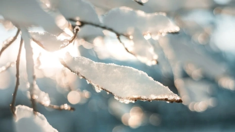 Во Владимирскую область придет потепление и 5-балльная магнитная буря