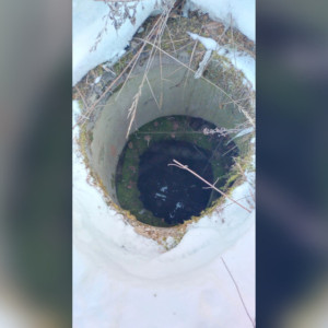 Во Владимирской области собака провалилась в открытый люк