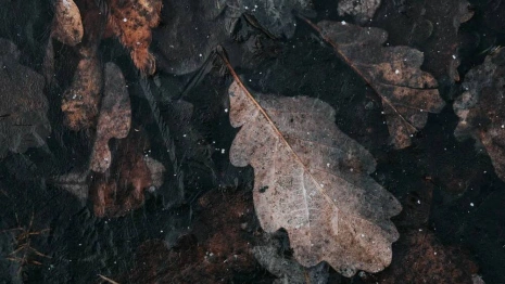 Во Владимире в овраге нашли труп мужчины