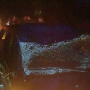 В Собинском районе пассажирка легковушки пострадала после столкновения с лосем