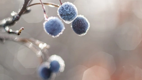 Прогноз погоды во Владимирской области на 15 ноября