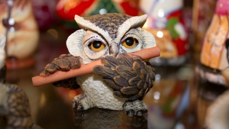 Во Владимире резко упало качество турсервиса