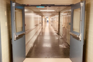 Женщина устроила дебош в травмпункте «Красного креста» во Владимире