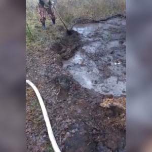 В деревне под Киржачом мог загореться торфяник