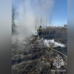 Во Владимирской области потушили 13 га охваченной огнем сухой травы