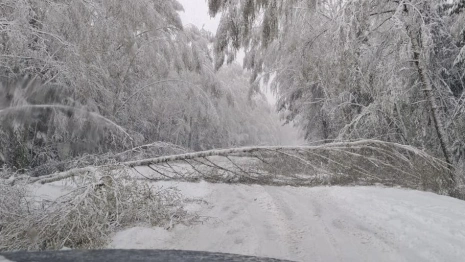 Самый мощный за 116 лет московский снегопад обрушился на запад Владимирской области