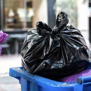 Ситуация с захламлением дворов во Владимире мусором дошла до суда