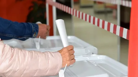В выборах во Владимирской области приняли участие 193 тыс. жителей
