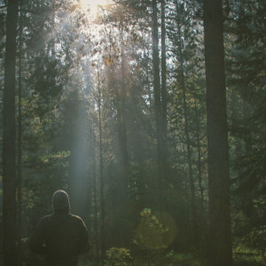 Во Владимире нашли пропавшего 1,5 недели назад мужчину в клетчатой рубашке