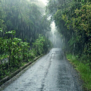 Синоптики назвали даты сильных дождей в июне-2025 во Владимире