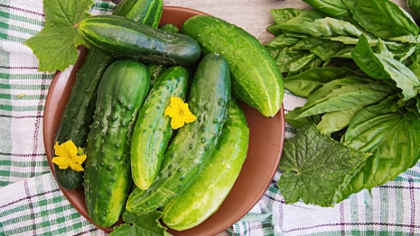 Иван Долгий: что можно и нельзя делать 1 июня