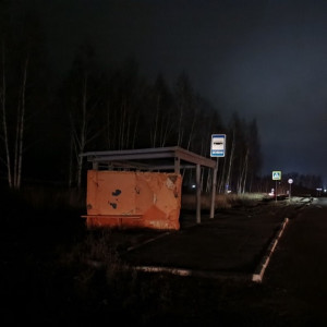 На остановке у деревни Зелени под Владимиром пообещали поставить фонари